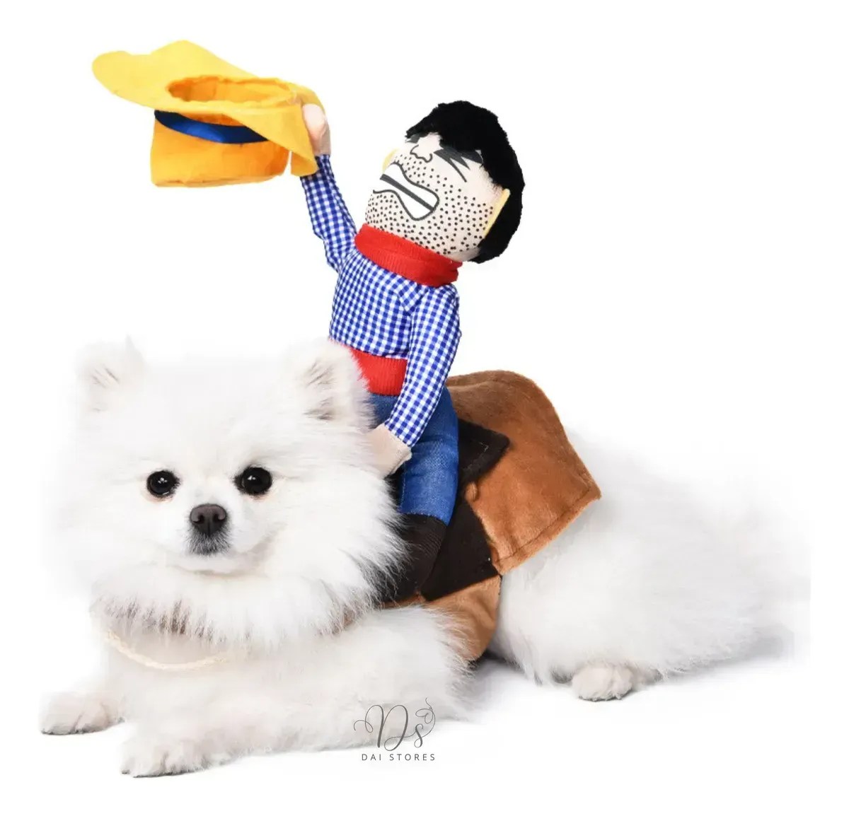Fantasia Cowboy
