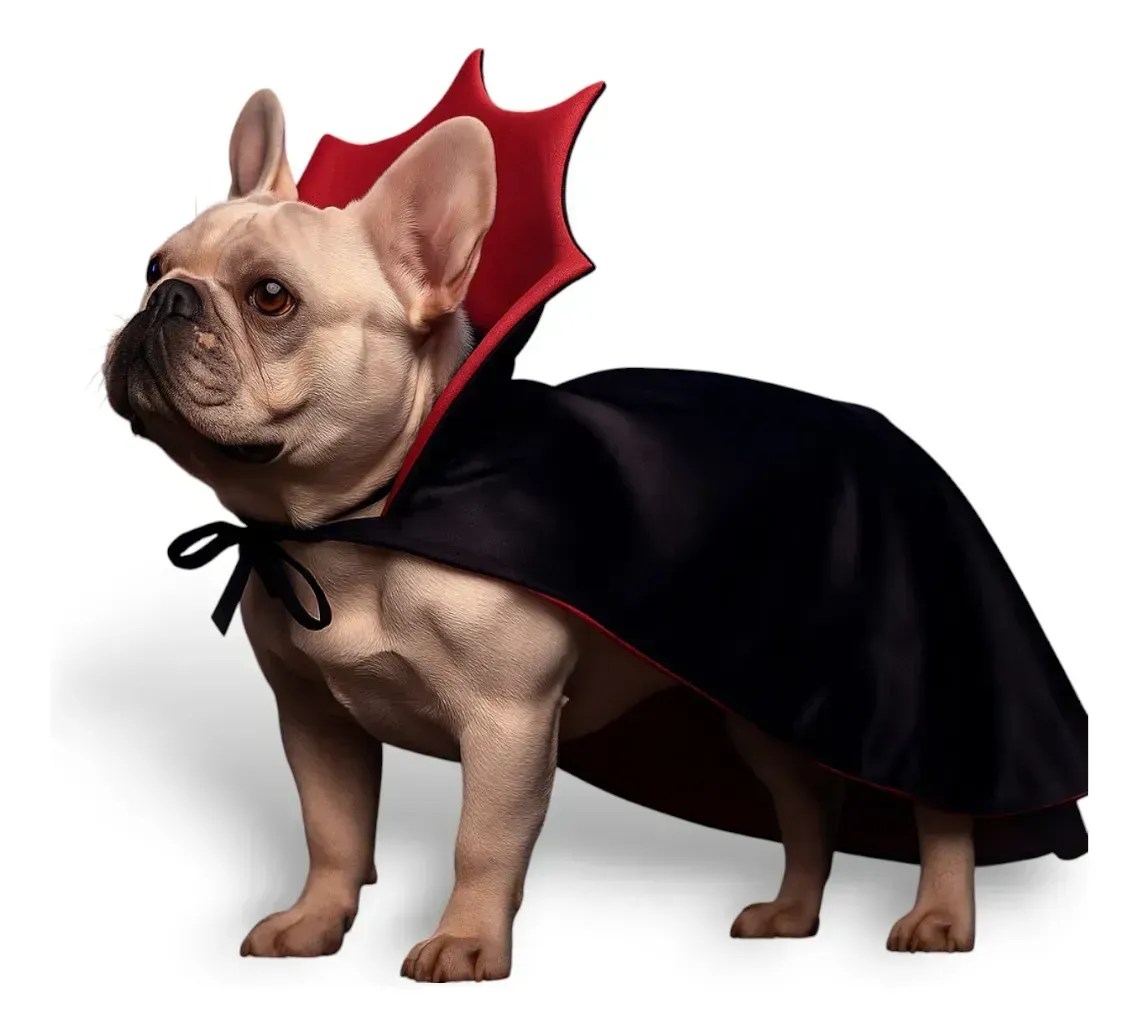 Fantasia Drácula