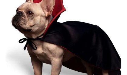 Fantasia Drácula