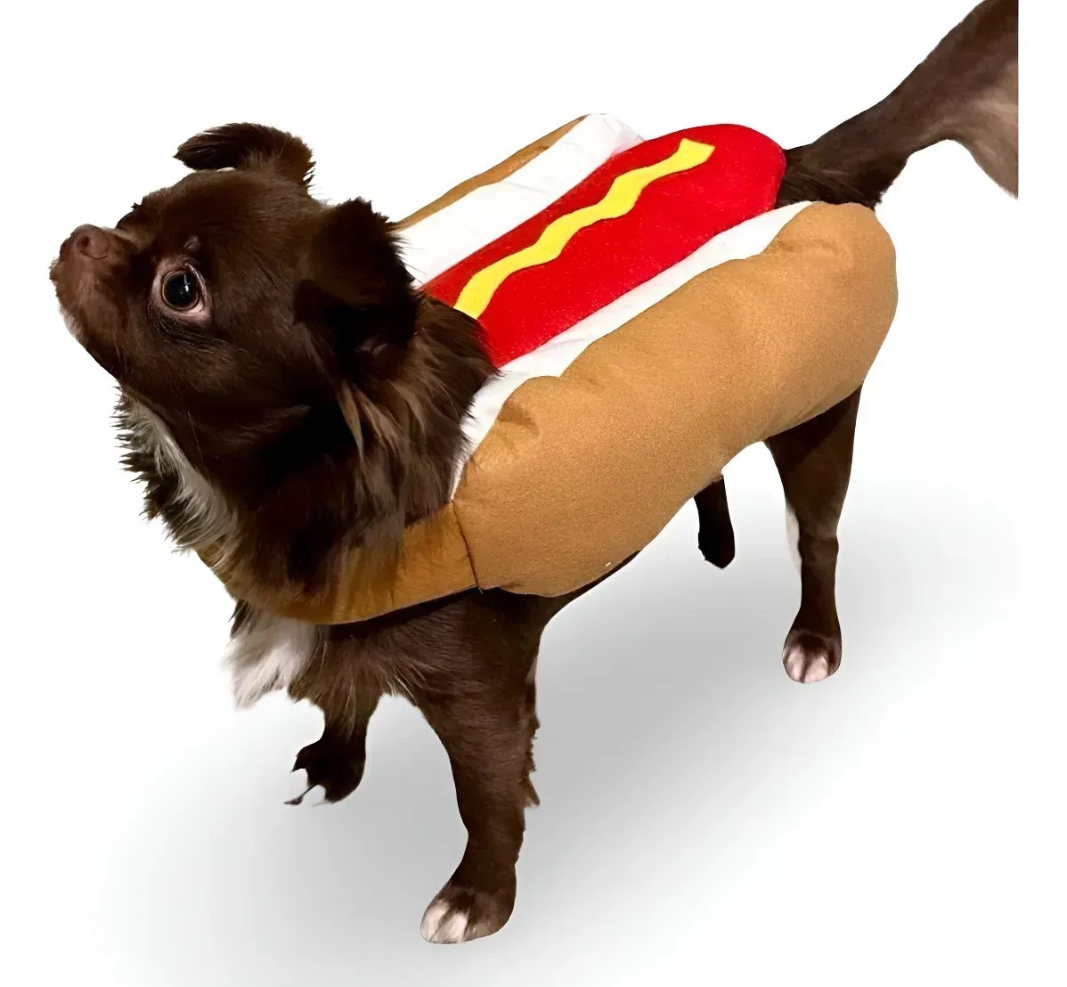 Fantasia Hotdog