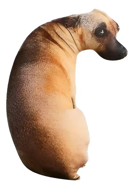 Almofada Cachorro Caramelo